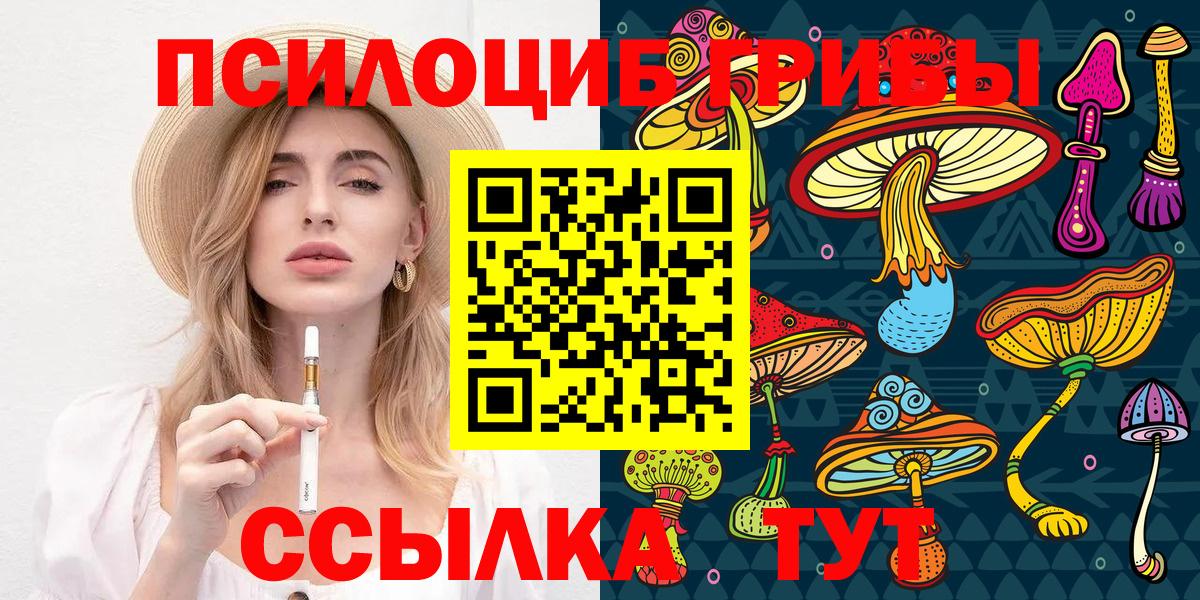 Псилоцибиновые грибы Psilocybine cubensis Сланцы