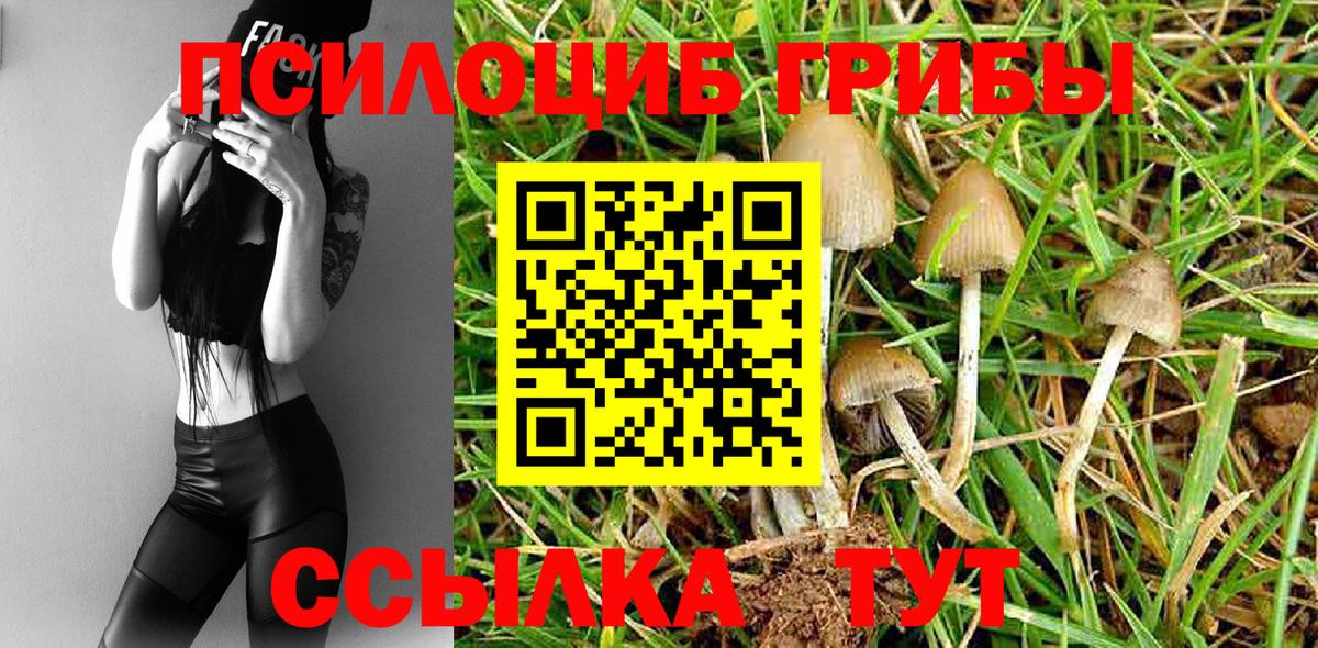 Сланцы  Псилоцибиновые грибы мицелий  Вход с VPN 